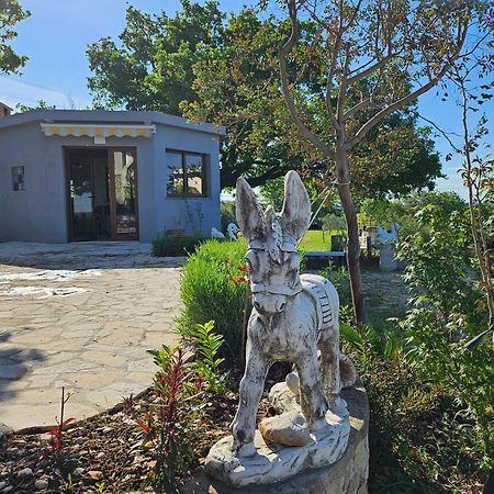 Villa Doci Задар Екстериор снимка