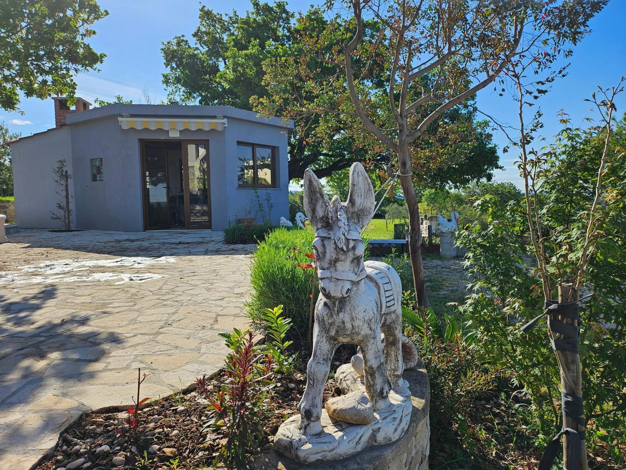 Villa Doci Задар Екстериор снимка
